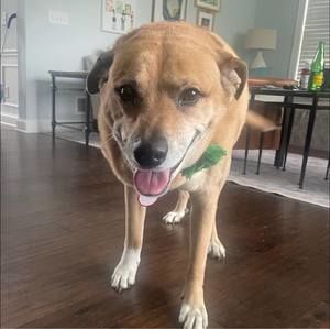 Meet your Posher, Mary beth